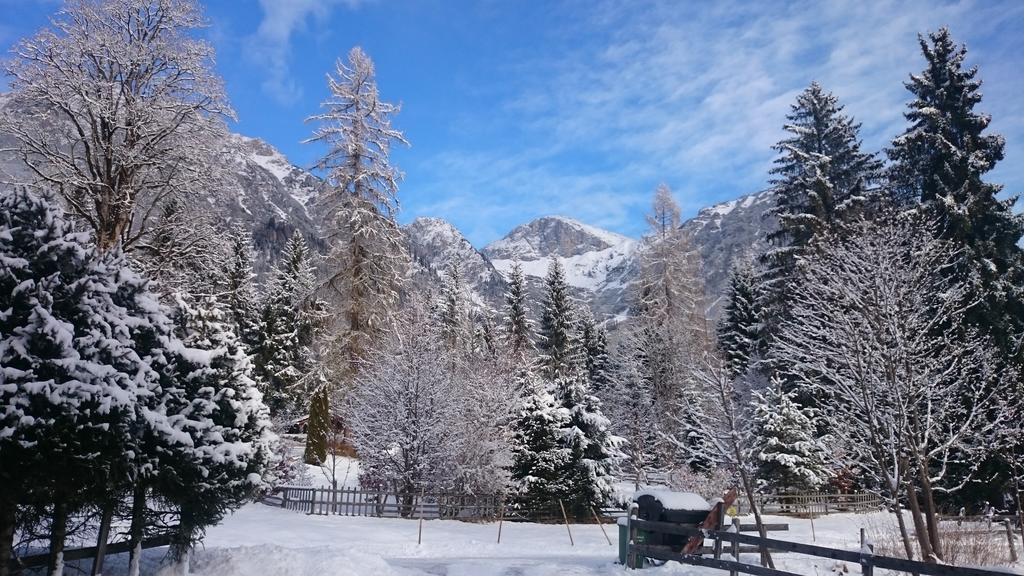 Pension Hofweyer Ramsau am Dachstein Εξωτερικό φωτογραφία